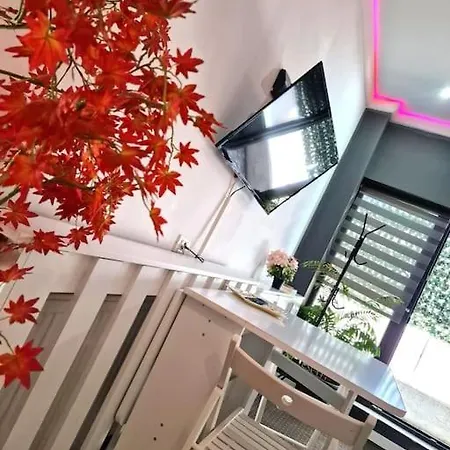 Baldachin Flat For 2 People * Constanta